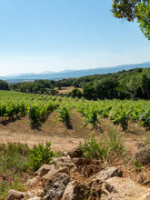 Carica l&#39;immagine nel visualizzatore di Gallery, SARAJA ISOLA DEI NURAGHI I.G.T. ROSATO 2023
